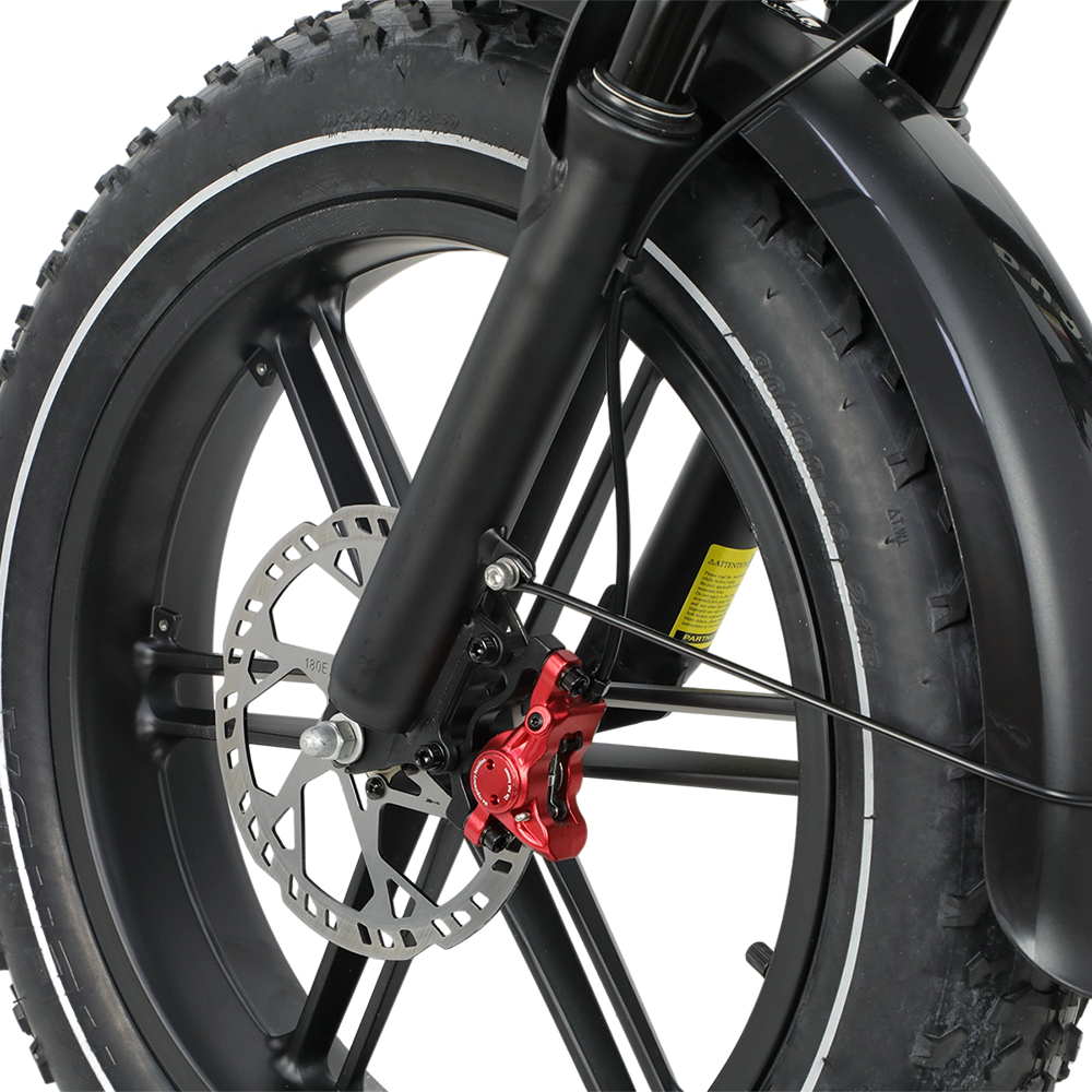 DUOTTS F20 20" Off Road Electric Bike 750W Motor 52V 27Ah Battery