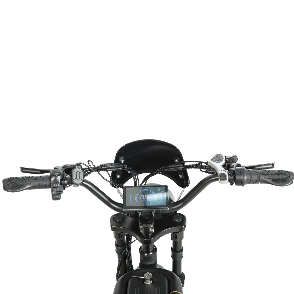 BAOLUJIE DM01 20" Off-Road E-Bike 2000W Motor 60V 30Ah Battery