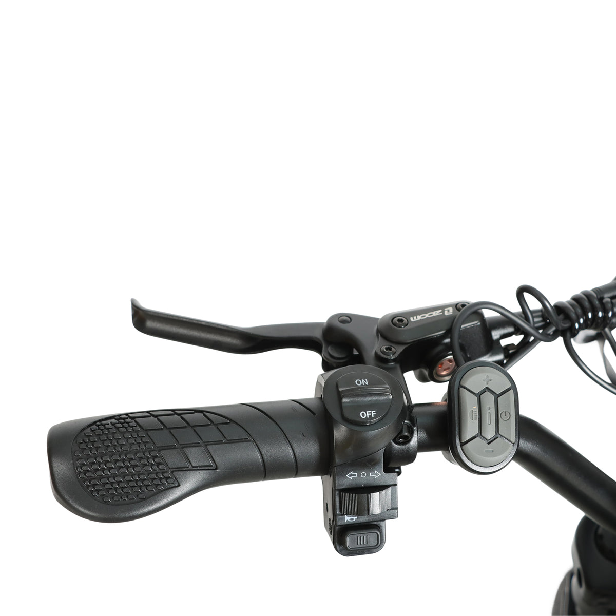 BAOLUJIE DM01 20" Off-Road E-Bike 2000W Motor 60V 30Ah Battery