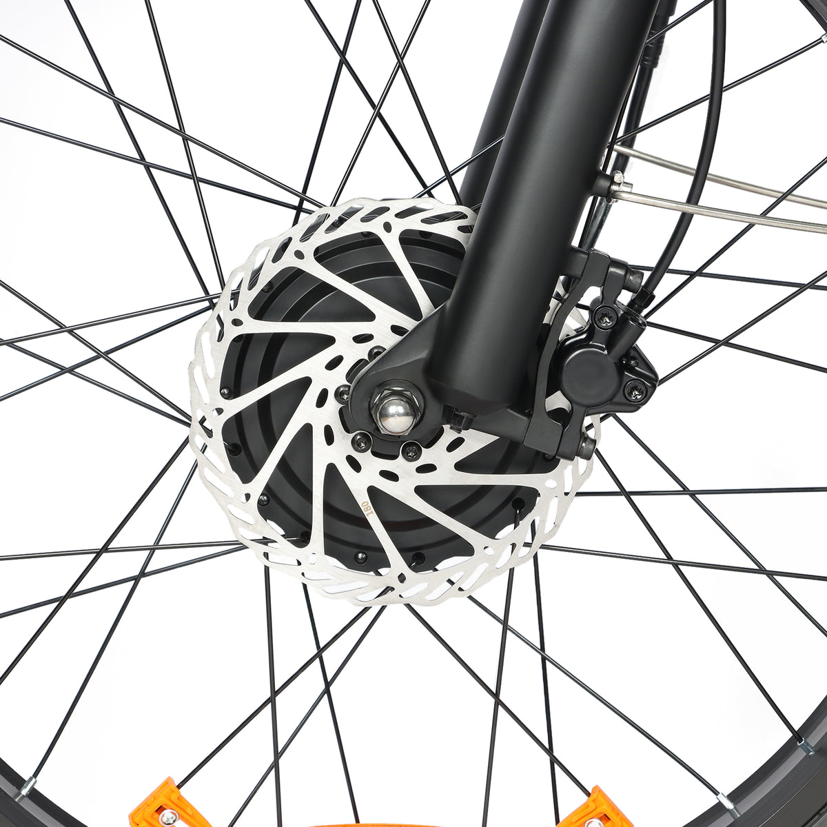 BAOLUJIE P7 2401 24" Step-Thru E-Bike 2000W Motor 48V 20Ah Battery