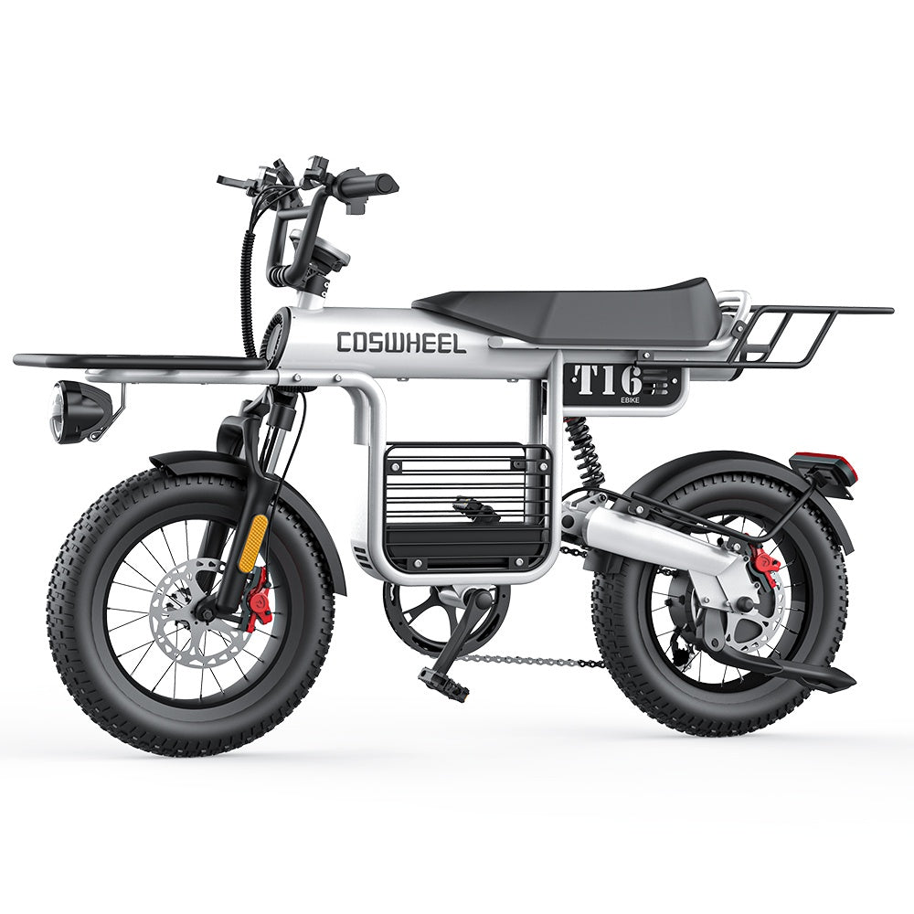 COSWHEEL T16 16" All-Terrain Electric Bike 500W Motor 48V 20Ah Battery