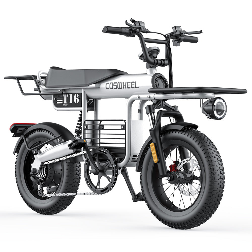 COSWHEEL T16 16" All-Terrain Electric Bike 500W Motor 48V 20Ah Battery