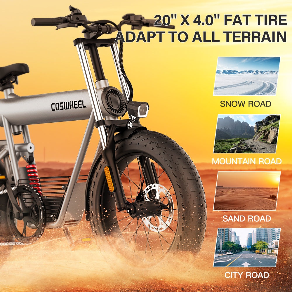 COSWHEEL T20 20" Off Road Electric Bike 1000W Motor 48V 20Ah Battery