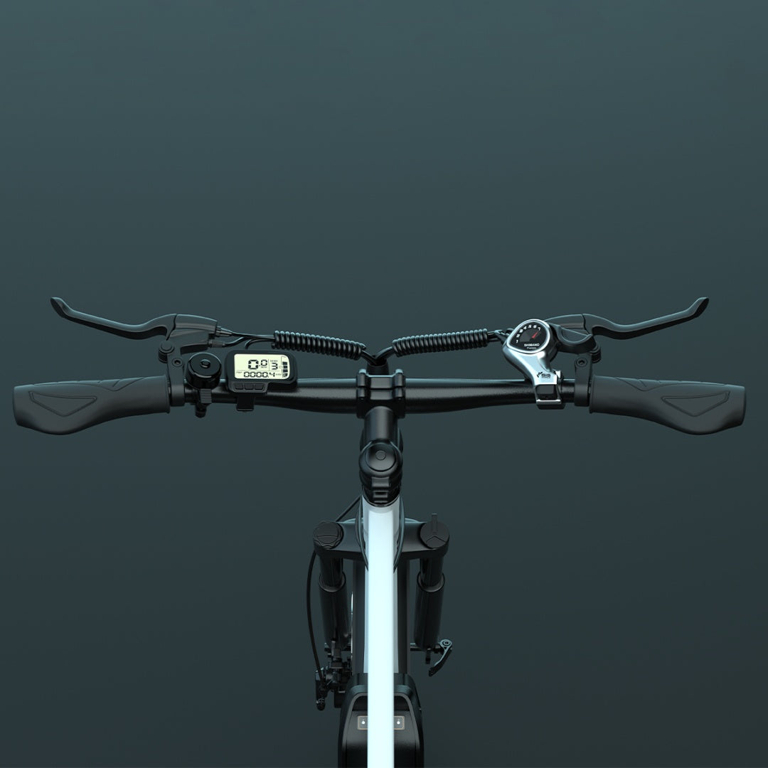 ESKUTE M100+ 27.5" Mountain Electric Bike 250W Motor 36V 13.5h Battery