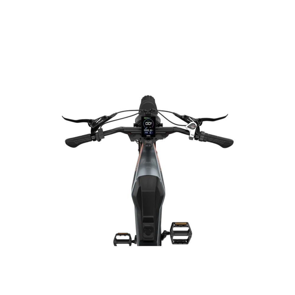 LUCKEEP M5 Max 20" Off Road Electric Bike 1500W Motor 52V 20Ah/40Ah Battery