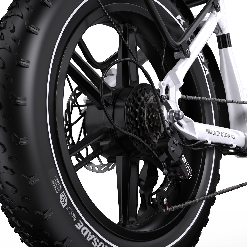 ONESPORT OT08 20" Fat Tire All-Terrain Electric Bike 500W Motor 48V 18Ah Battery