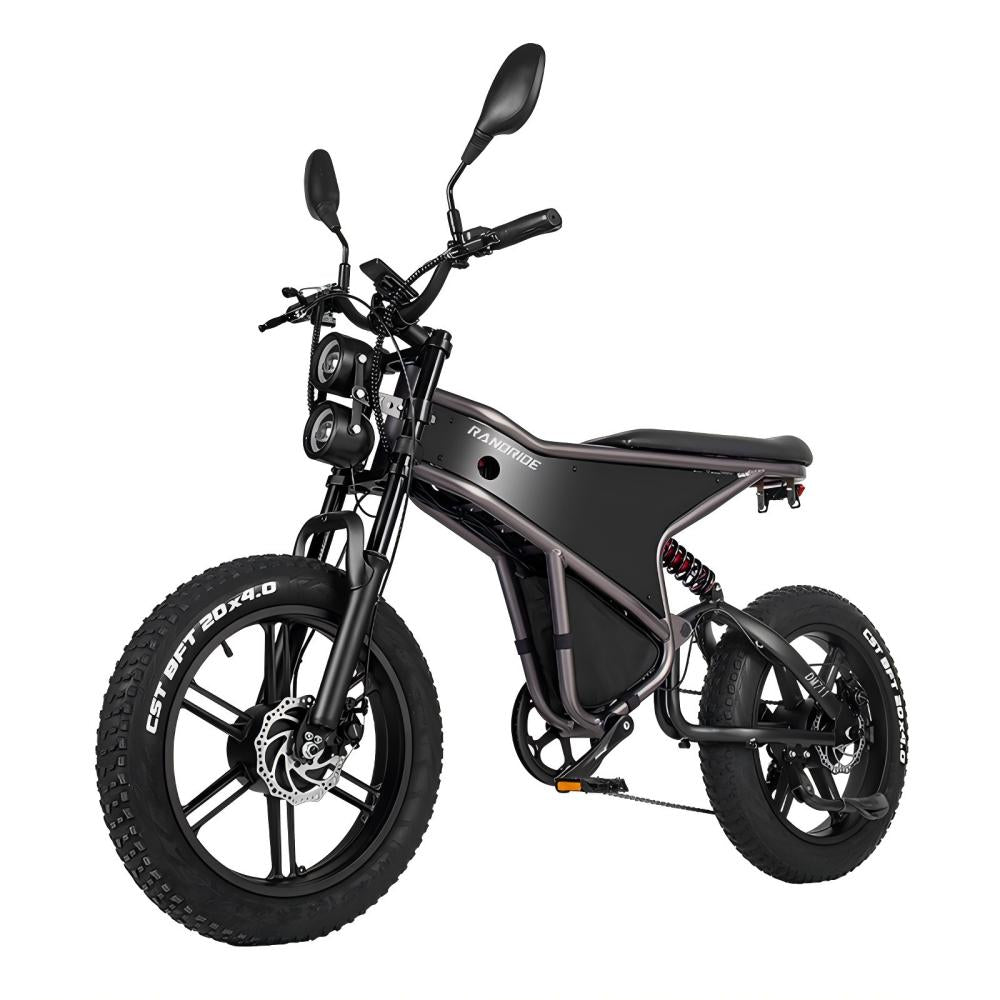 RANDRIDE DM711 20" Retro Fat Tire Electric Bike 1000W*2 Dual Motors 48V 20Ah Battery