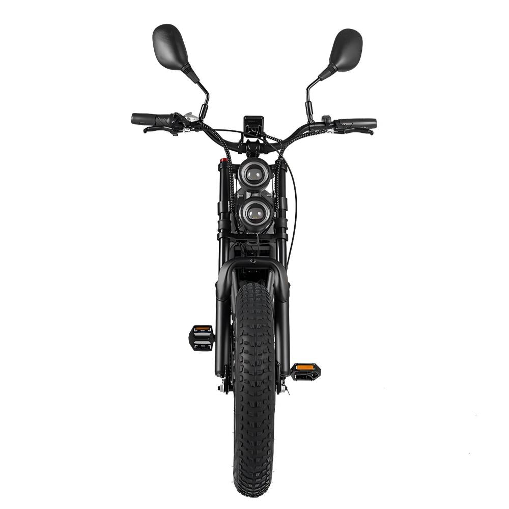 RANDRIDE DM711 20" Retro Fat Tire Electric Bike 1000W*2 Dual Motors 48V 20Ah Battery