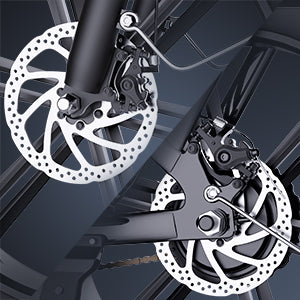 YVY FM001 20" 1000W Motor 2 Seater Fat Tire Electric Bike 48V 15Ah Battery