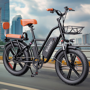 YVY FM001 20" 1000W Motor 2 Seater Fat Tire Electric Bike 48V 15Ah Battery