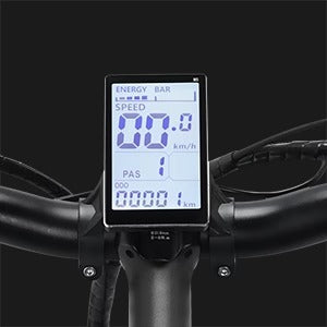 RIDSTAR Q20 20" Fat Tires Electric Bikes 1500W Motor 48V 20Ah Battery