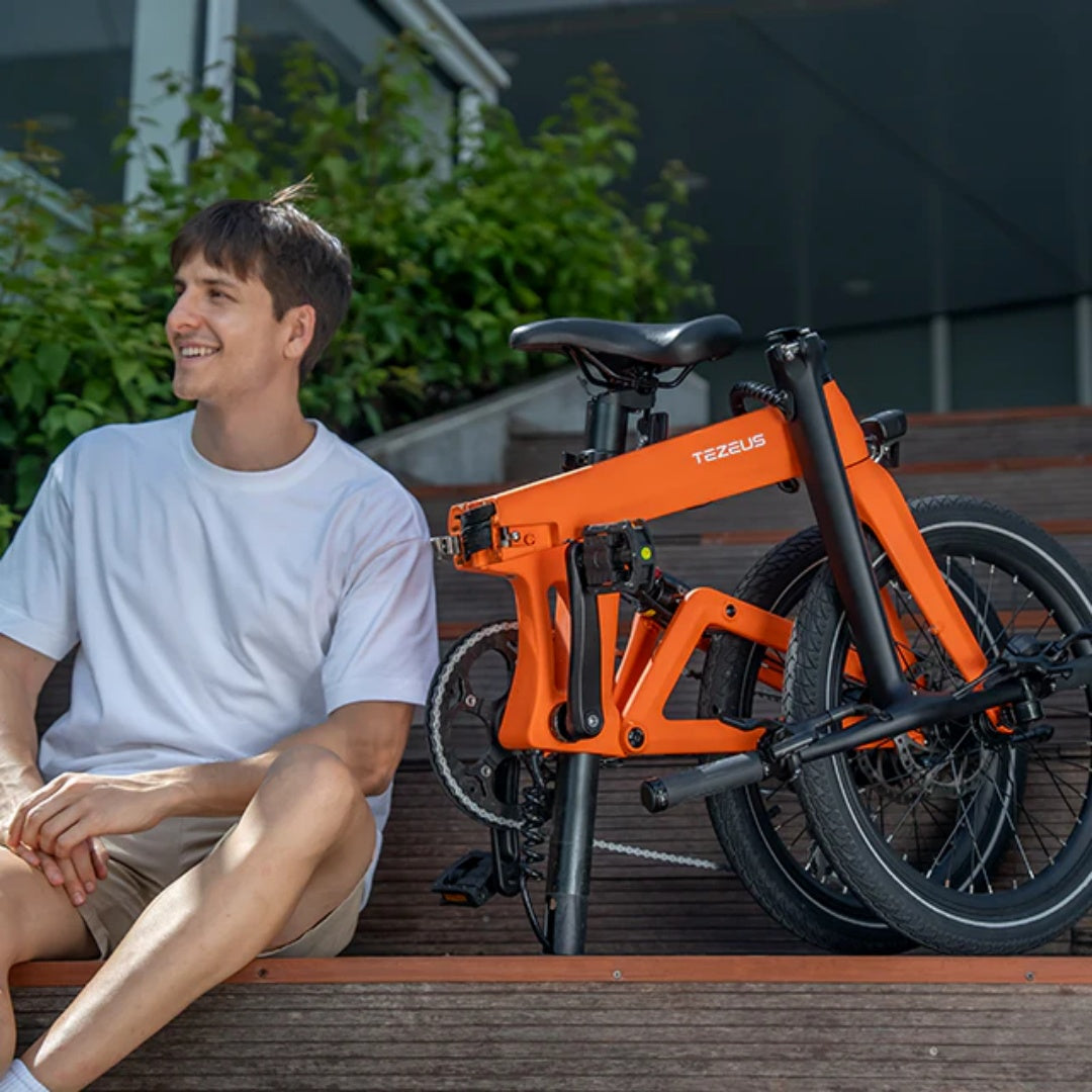 TEZEUS Swift 20" Folding Electric Bike 250W Motor 36V 7Ah Battery