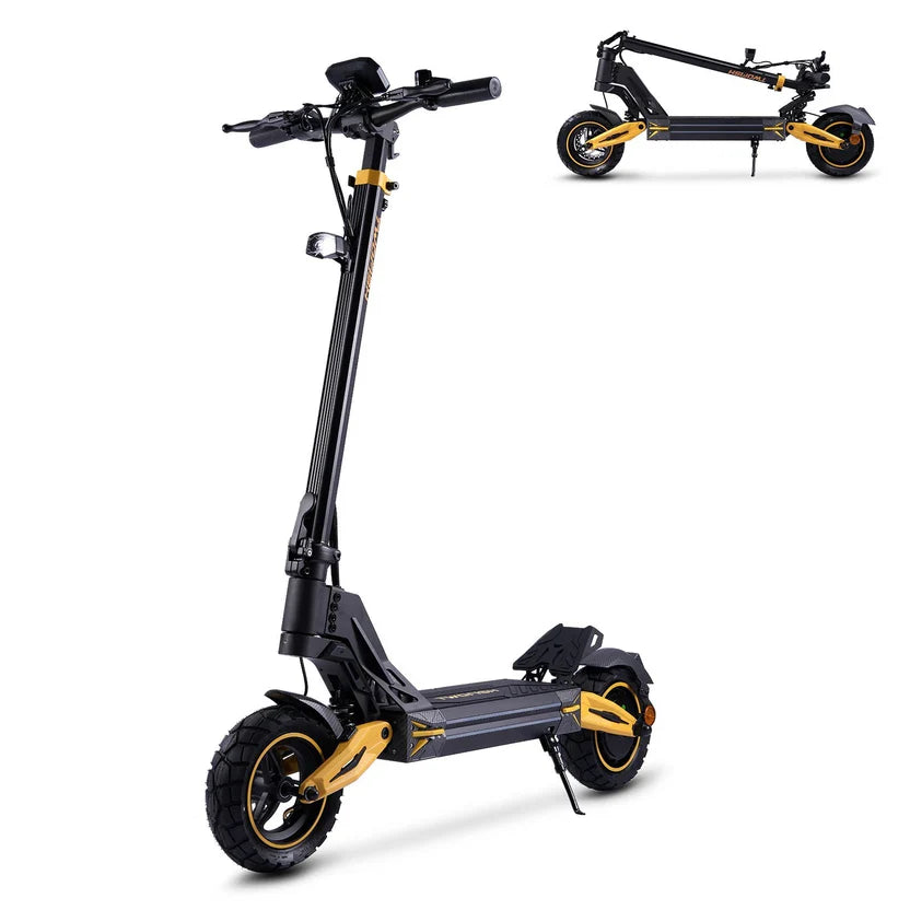 TWOFISH V2 MAX 10" Off-Road E-Scooter 800W Motor 48V 17Ah Battery