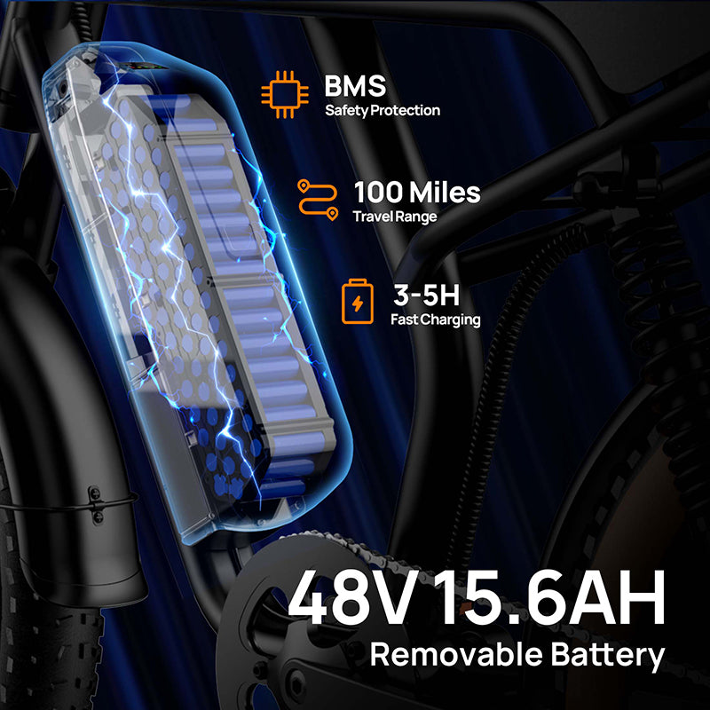 URLIFE T2 20" Off Road Electric Bike 745W Motor 48V 15.6Ah Battery (US Version)