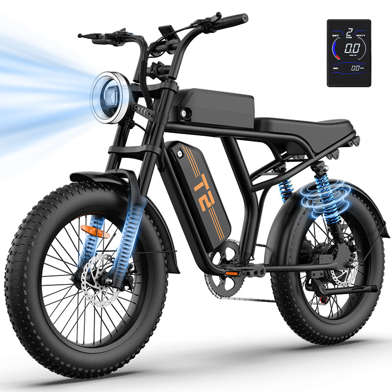 URLIFE T2 20" Off Road Electric Bike 250W Motor 48V 15.6Ah Battery (UK&EU Version)