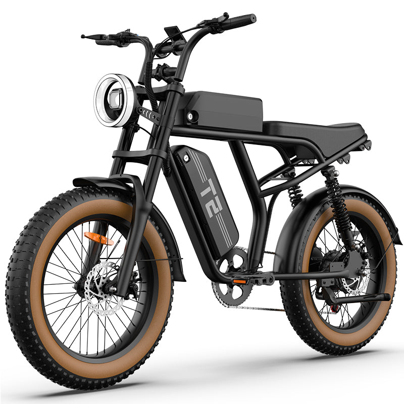 URLIFE T2 20" Off Road Electric Bike 250W Motor 48V 15.6Ah Battery (UK&EU Version)
