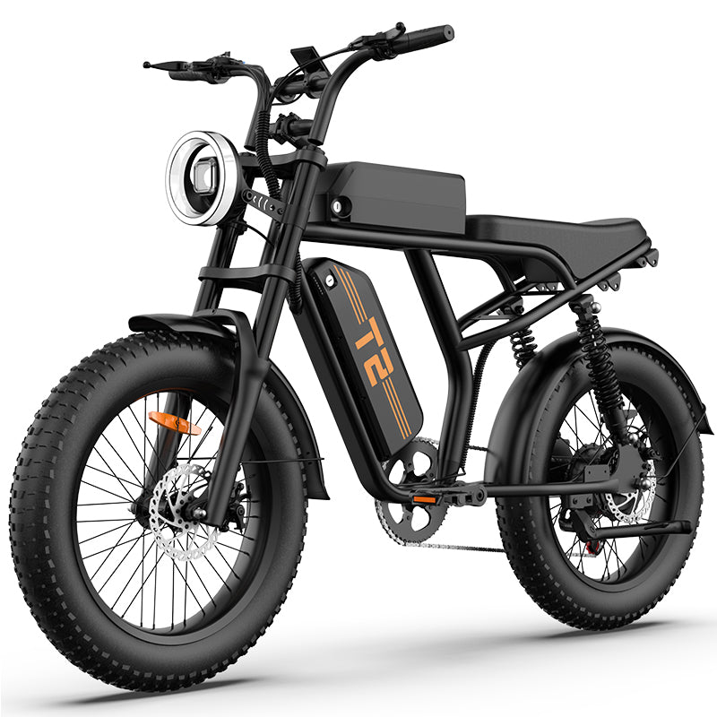 URLIFE T2 20" Off Road Electric Bike 250W Motor 48V 15.6Ah Battery (UK&EU Version)