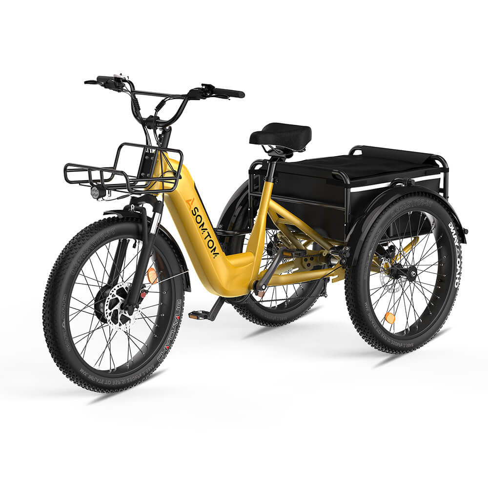ASOMTOM WHALE 3.0 24" High-Capacity Durable Electric Trike 500W Motor 48V 20Ah Battery