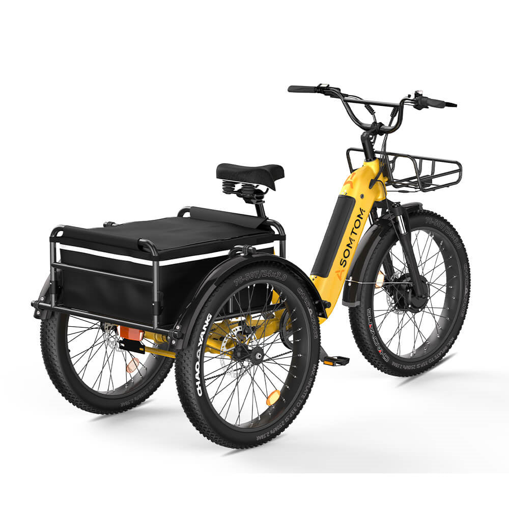 ASOMTOM WHALE 3.0 24" High-Capacity Durable Electric Trike 500W Motor 48V 20Ah Battery