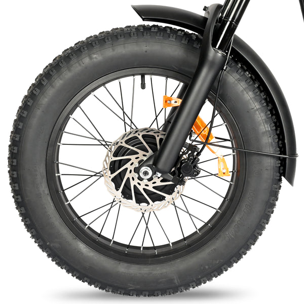 POLEEJIEK PLJ2008 20" Fat Tire Electric Bike 2000W Dual Motors 48V 20Ah Battery