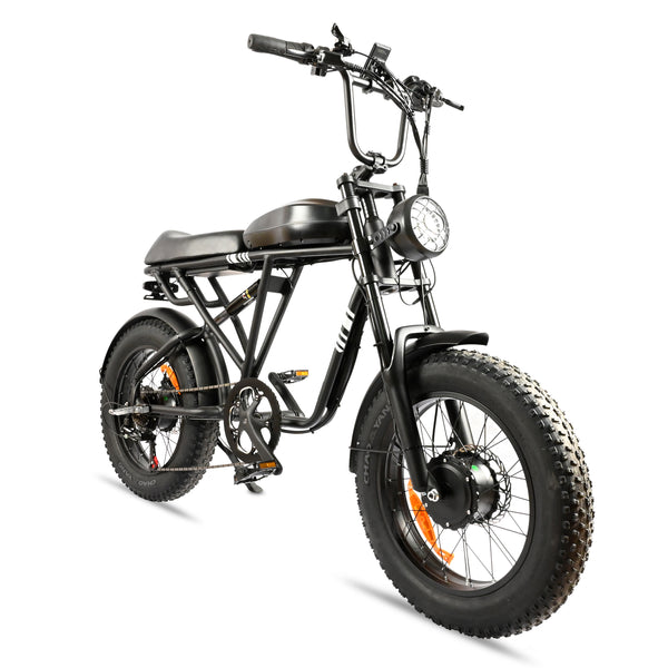 POLEEJIEK PLJ2008 20" Fat Tire Electric Bike 2000W Dual Motors 48V 20Ah Battery