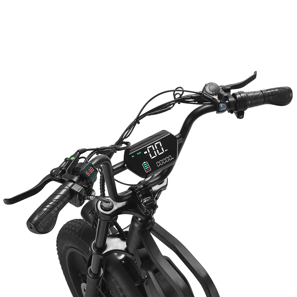 HAPPYRUN Tank G60C 20" Off Road Electric Bike 750W 48V 18Ah Battery