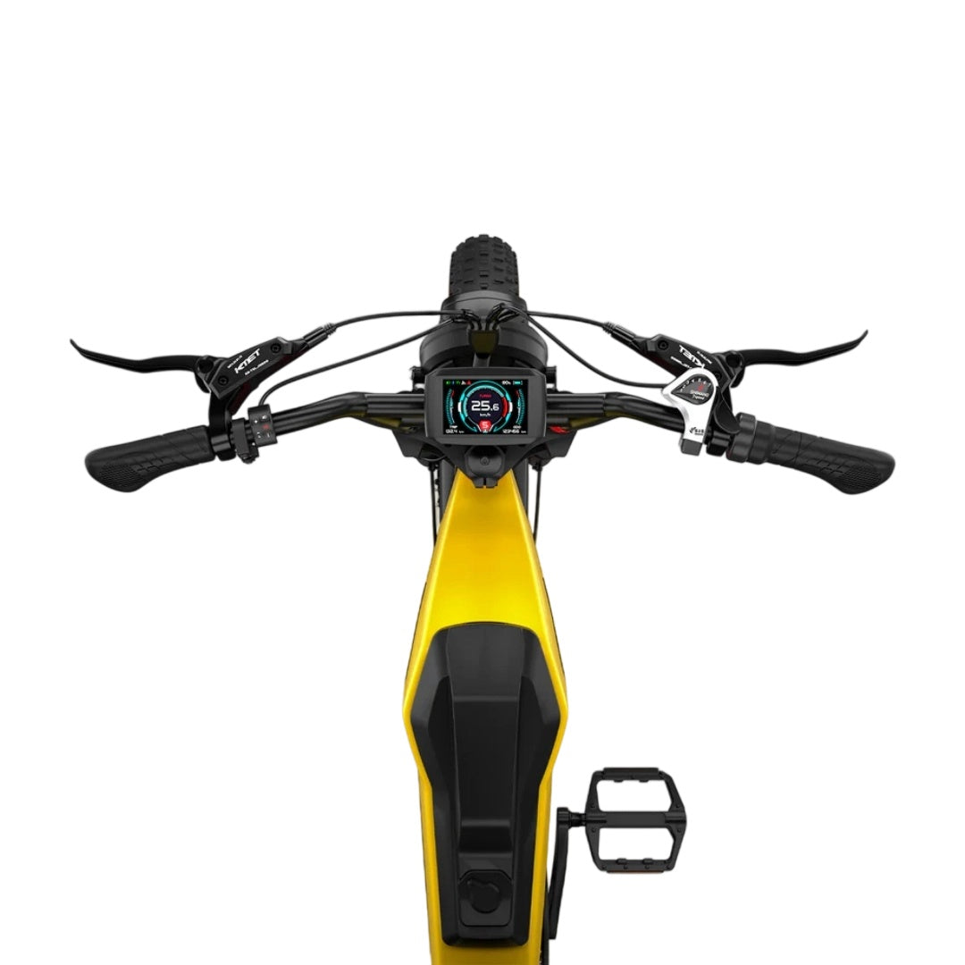 LUCKEEP M5 Ultra 20" Off Road Electric Bike 2*1000W Dual Motors 52V 40Ah Battery(US Version)