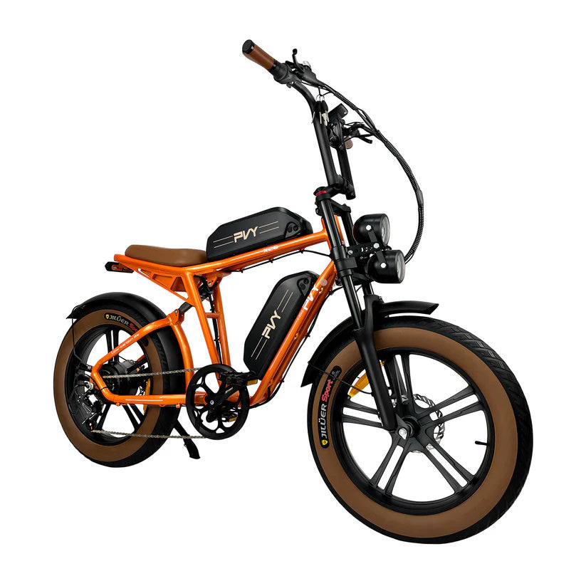 PVY X20 20" Off Road Electric Bike 250W Motor 48V 30Ah Battery