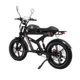 DUOTTS F20 20" Off Road Electric Bike 750W Motor 52V 27Ah Battery