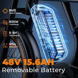 URLIFE T9 20" Off Road Electric Bike 250W Motor 48V 15.6Ah Battery (UK&EU Version)