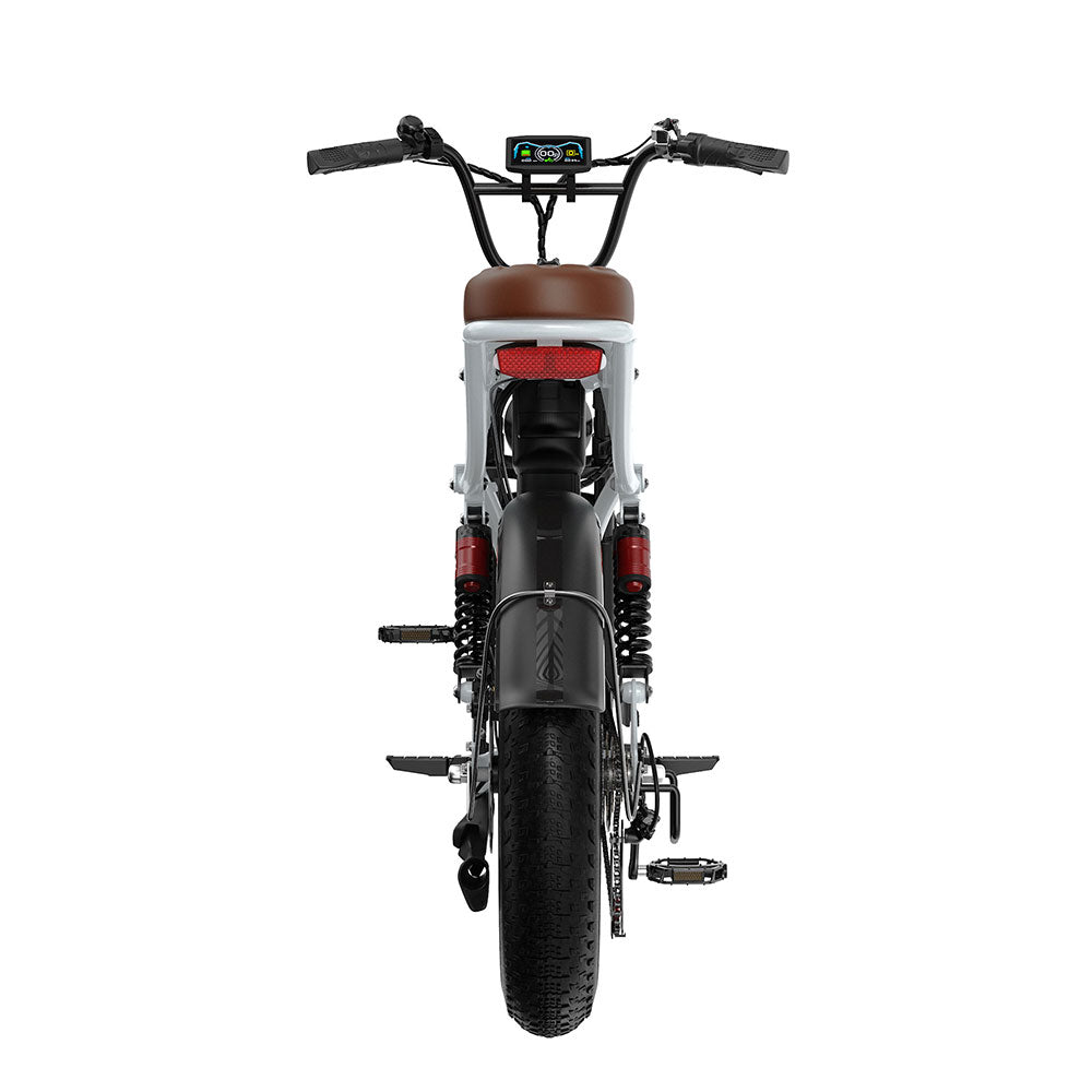 Velopro M9  20'' 250W Retro Dual-Battery Fat Tire E-Bike 48V 35Ah battery