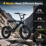 MEELOD DK200 20" Retro Moped Style Electric Bike 750W Motor 48V 13Ah Battery (CA Version)
