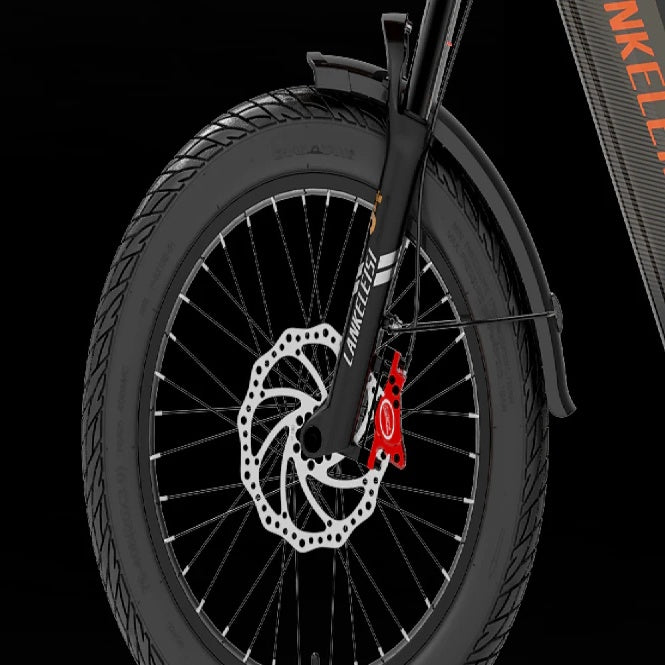 LANKELEISI Wombat-1 20" Cargo Electric Bike 1000W Motor 48V 20Ah Battery
