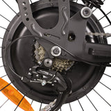 BAOLUJIE DM01 20" Off-Road E-Bike 2000W Motor 60V 30Ah Battery