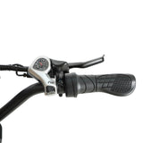 BAOLUJIE DM01 20" Off-Road E-Bike 2000W Motor 60V 30Ah Battery