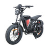 BAOLUJIE DM01 20" Off-Road E-Bike 2000W Motor 60V 30Ah Battery