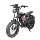 BAOLUJIE DM01 20" Off-Road E-Bike 2000W Motor 60V 30Ah Battery