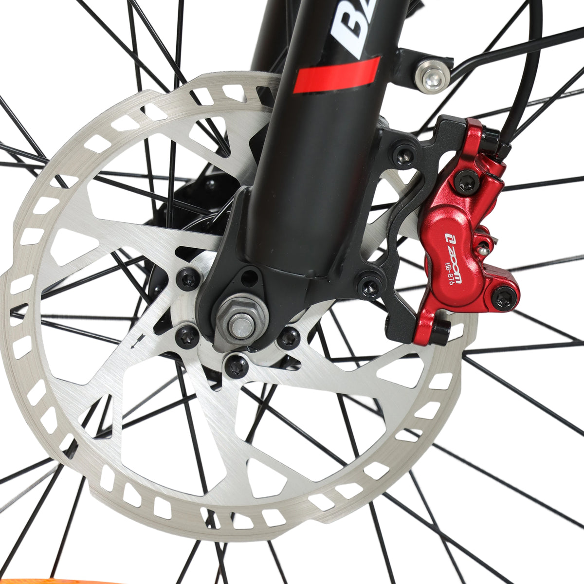 BAOLUJIE DM01 20" Off-Road E-Bike 2000W Motor 60V 30Ah Battery