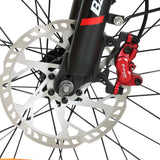 BAOLUJIE DM01 20" Off-Road E-Bike 2000W Motor 60V 30Ah Battery