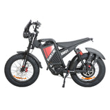 BAOLUJIE DM01 20" Off-Road E-Bike 2000W Motor 60V 30Ah Battery