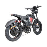 BAOLUJIE DM01 20" Off-Road E-Bike 2000W Motor 60V 30Ah Battery