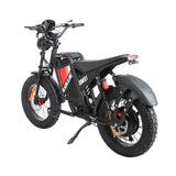 BAOLUJIE DM01 20" Off-Road E-Bike 2000W Motor 60V 30Ah Battery