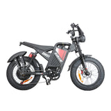 BAOLUJIE DM01 20" Off-Road E-Bike 2000W Motor 60V 30Ah Battery