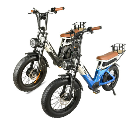 BAOLUJIE PLJ2033 Step-Thru Electric Cargo Bike Combo
