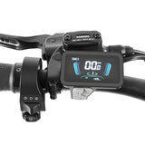 COSWHEEL HQ20 20" Cargo Electric Bike 1300W Peak Motor 48V 19.2Ah Battery