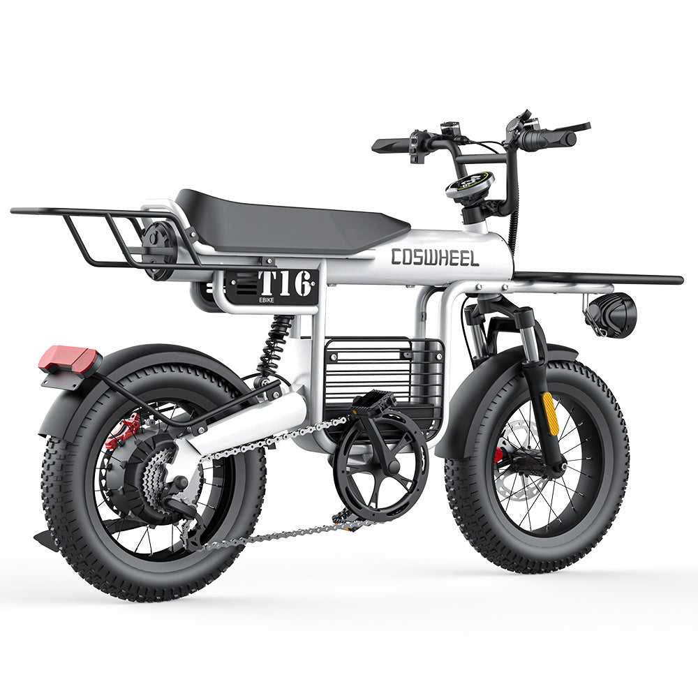 COSWHEEL T16 16" All-Terrain Electric Bike 500W Motor 48V 20Ah Battery
