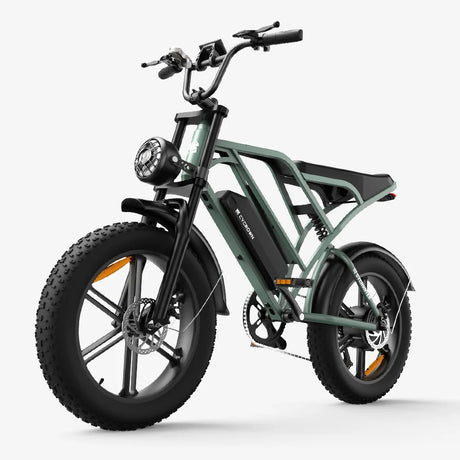 CYCROWN Hunter 20" Off Road Electric Bike 750W Motor 48V 26Ah Dual Batteries