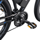 DUOTTS C29 29" Mountain E-Bike 750W Motor 48V 15Ah Battery