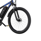 DUOTTS C29 29" Mountain E-Bike 750W Motor 48V 15Ah Battery
