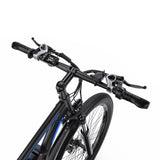 DUOTTS C29 29" Mountain E-Bike 750W Motor 48V 15Ah Battery
